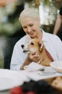 orthopädisches Hundebett